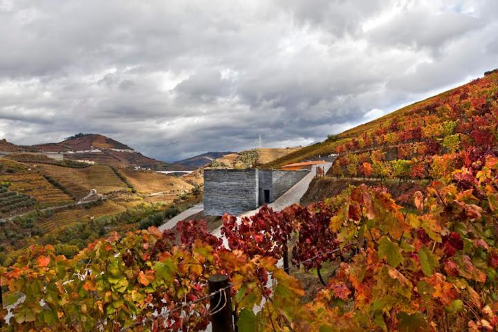Quinta do Vallado Wine Hotel Peso da Régua Esterno foto